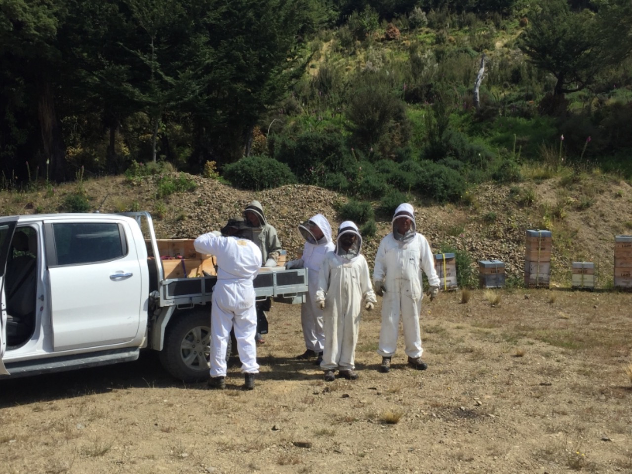 NATURE AT HER PUREST