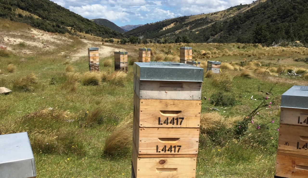 NATURE AT HER PUREST